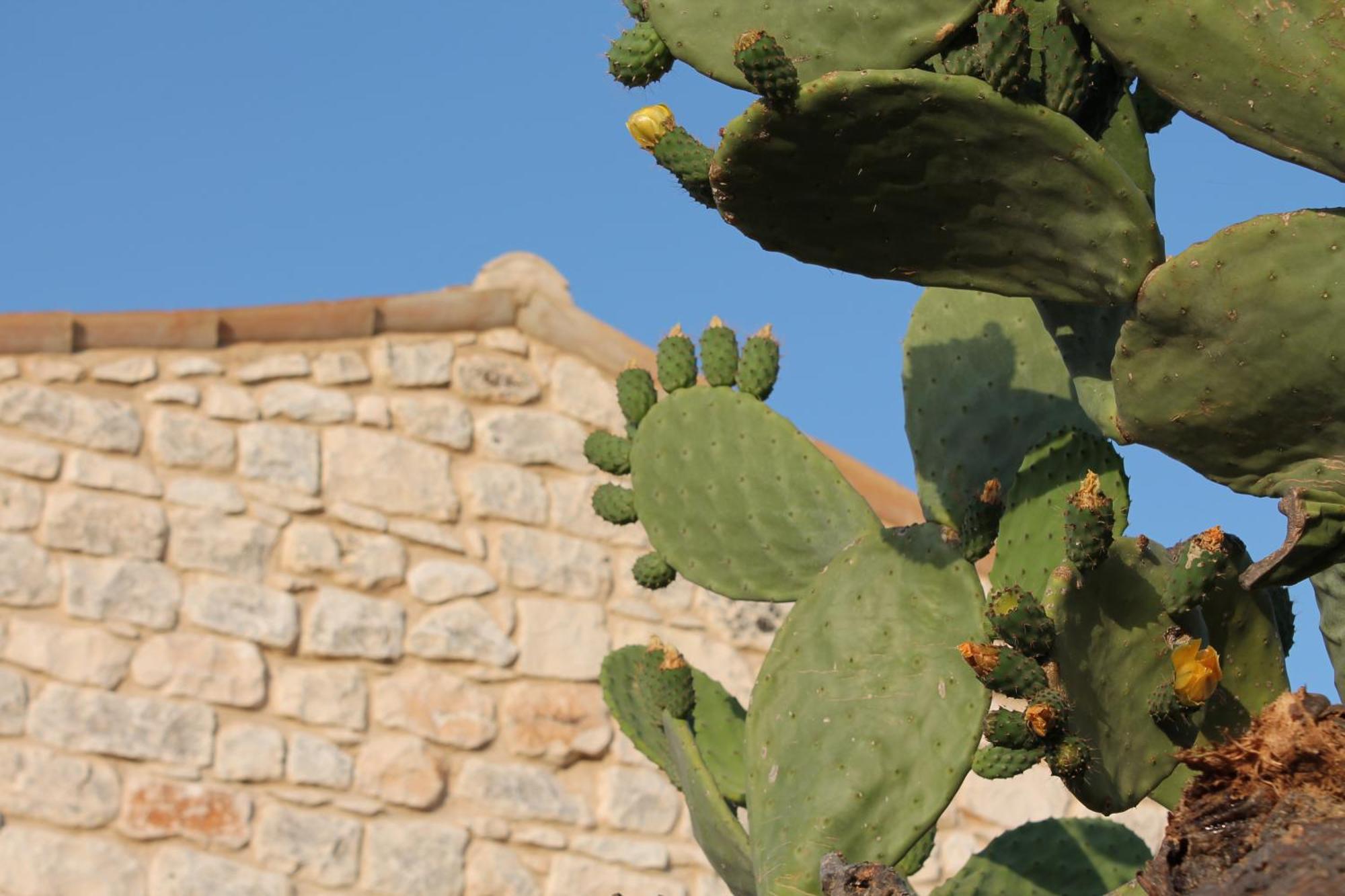 Tenuta Zannafondo Donnafugata Exterior photo